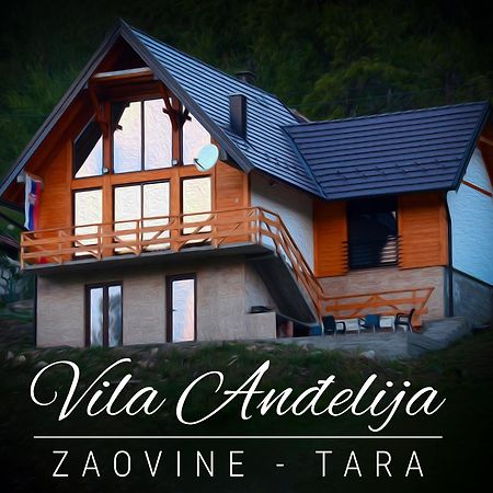 Vila Anthelija Zaovine Vila Lazici Exterior foto